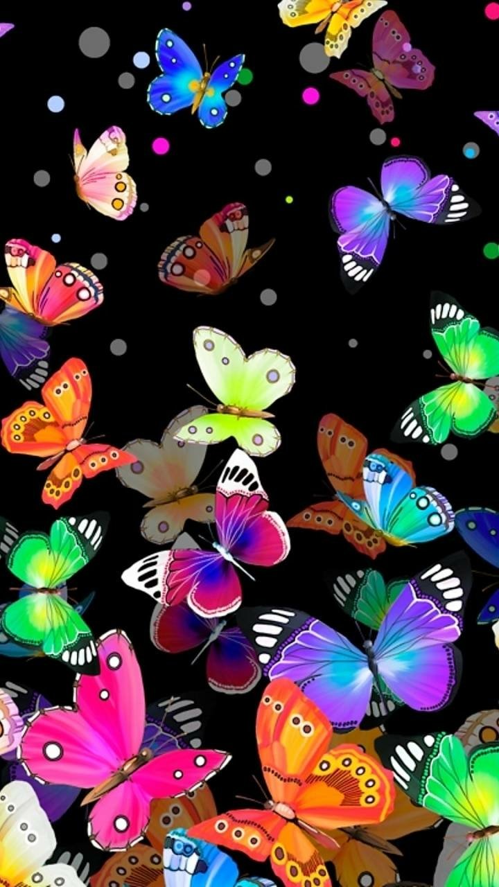 Download Colorful Artistic Butterfly Phone Wallpaper