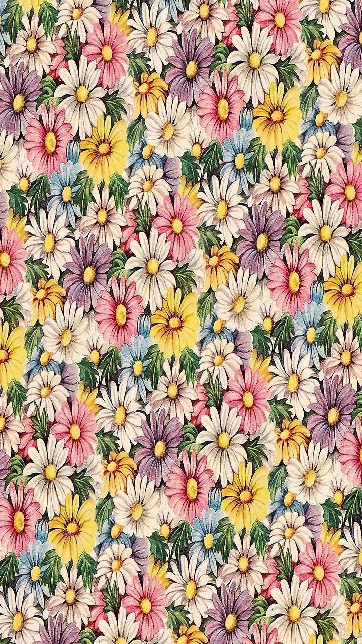 Download Colorful Colors Daisy Artistic Flower Phone Wallpaper