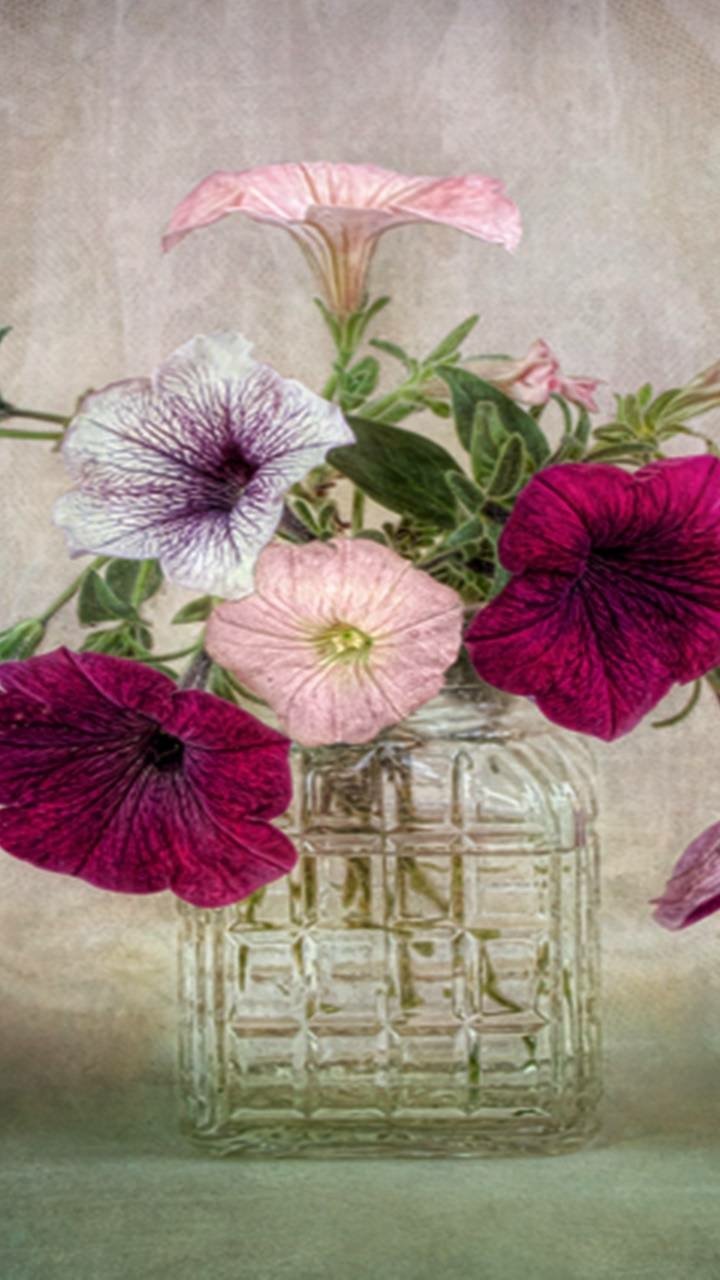 Download Glass Vase Man Made Flower Phone Wallpaper