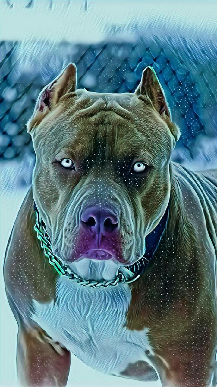 Phone wallpaper of a pit bull dog (animal) with icy blue eyes and cool-toned, stylized colors, standing in front of a snowy chain-link fence.