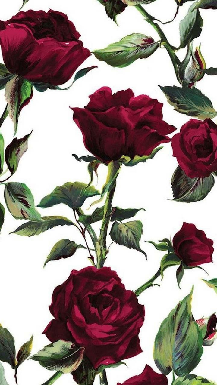 Download Artistic Rose Phone Wallpaper