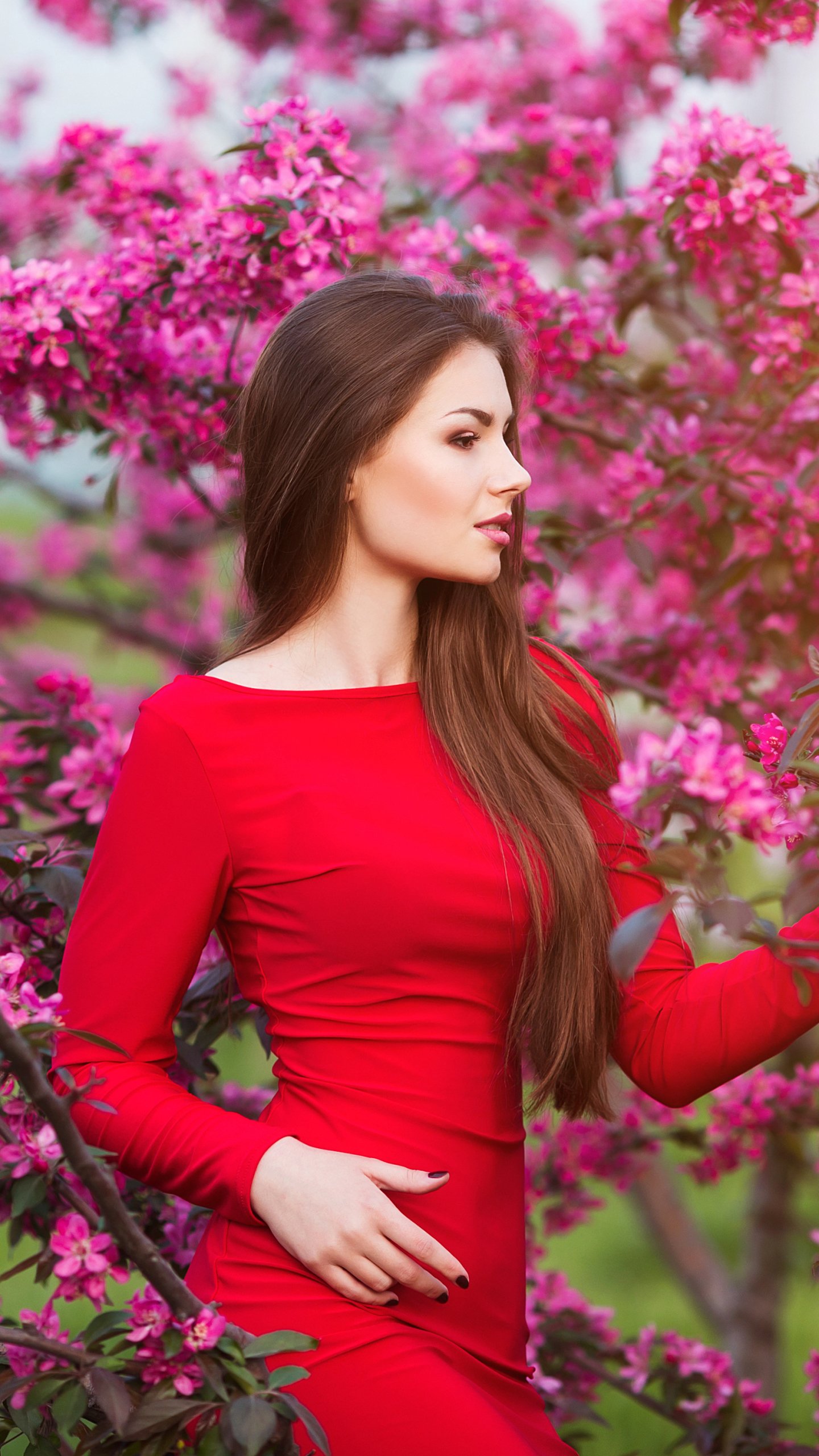 Download Blossom Pink Flower Brunette Long Hair Red Dress Woman Model Phone Wallpaper