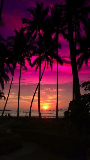  Tropical Sunset