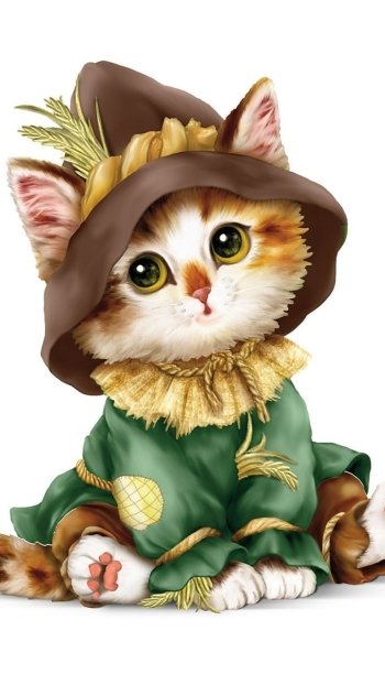  Scarecrow Kitten