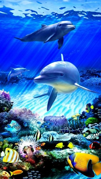  Under the Sea