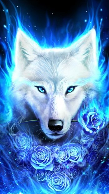  White Wolf and Blue Roses