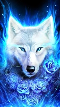 357 Wolf Samsung Galaxy J7 720x1280 Wallpapers Mobile Abyss
