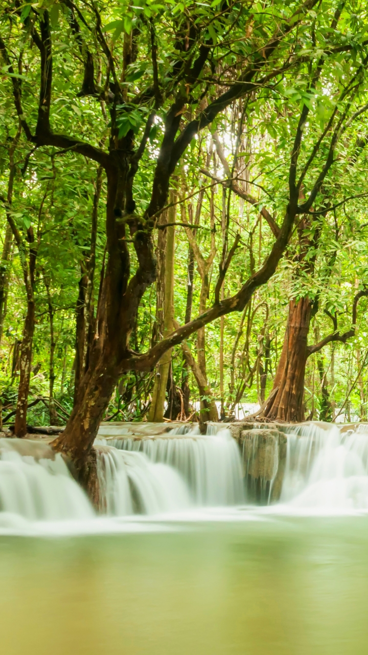 Download Greenery Tree Nature Waterfall Phone Wallpaper - Mobile Abyss