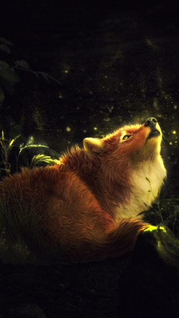  Fox in Enchanted Forest by Amphispiza