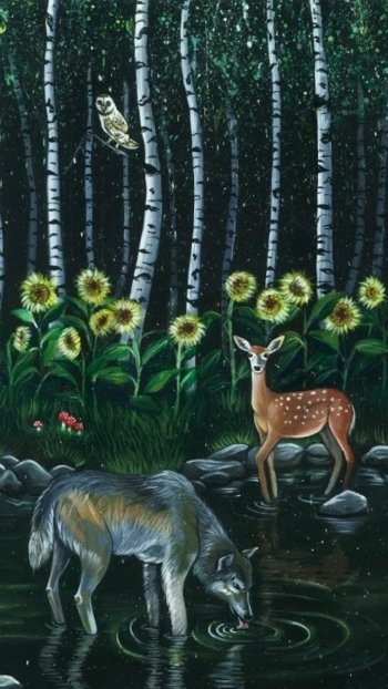  Enchanted Forest