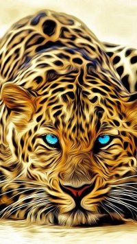 Sub-Gallery ID: 10415 Leopard