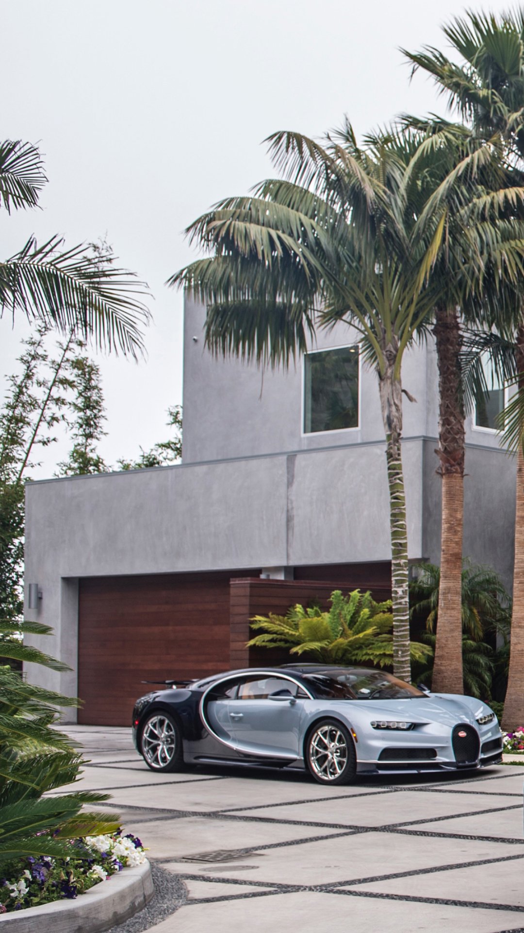 Silver Bugatti Chiron supercar parked by a modern house with palm trees — luxury vehicle phone wallpaper.