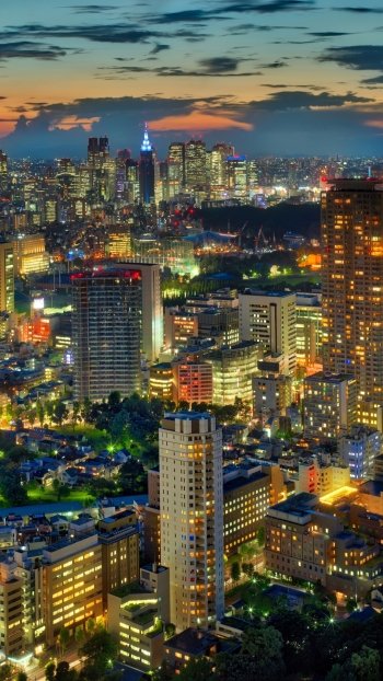 Nighttime cityscape of Tokyo with illuminated skyscrapers and buildings under a colorful sky, captured as a vertical phone wallpaper for iPhone and Android devices.