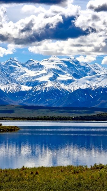 nature Alaska mountain denali national park tree cloud USA lake Phone Wallpaper