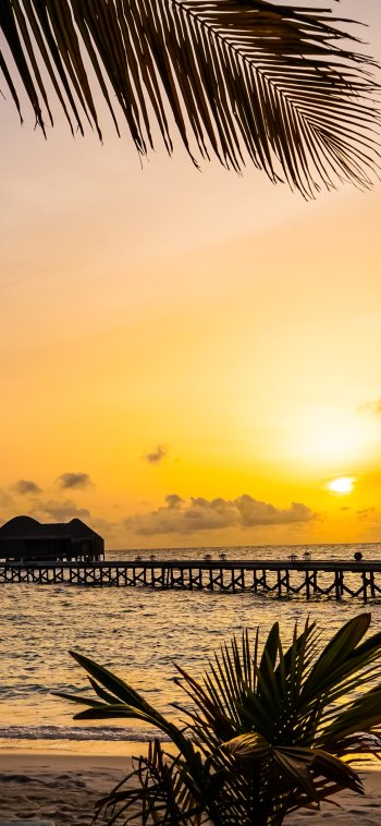  Maldives Sunset