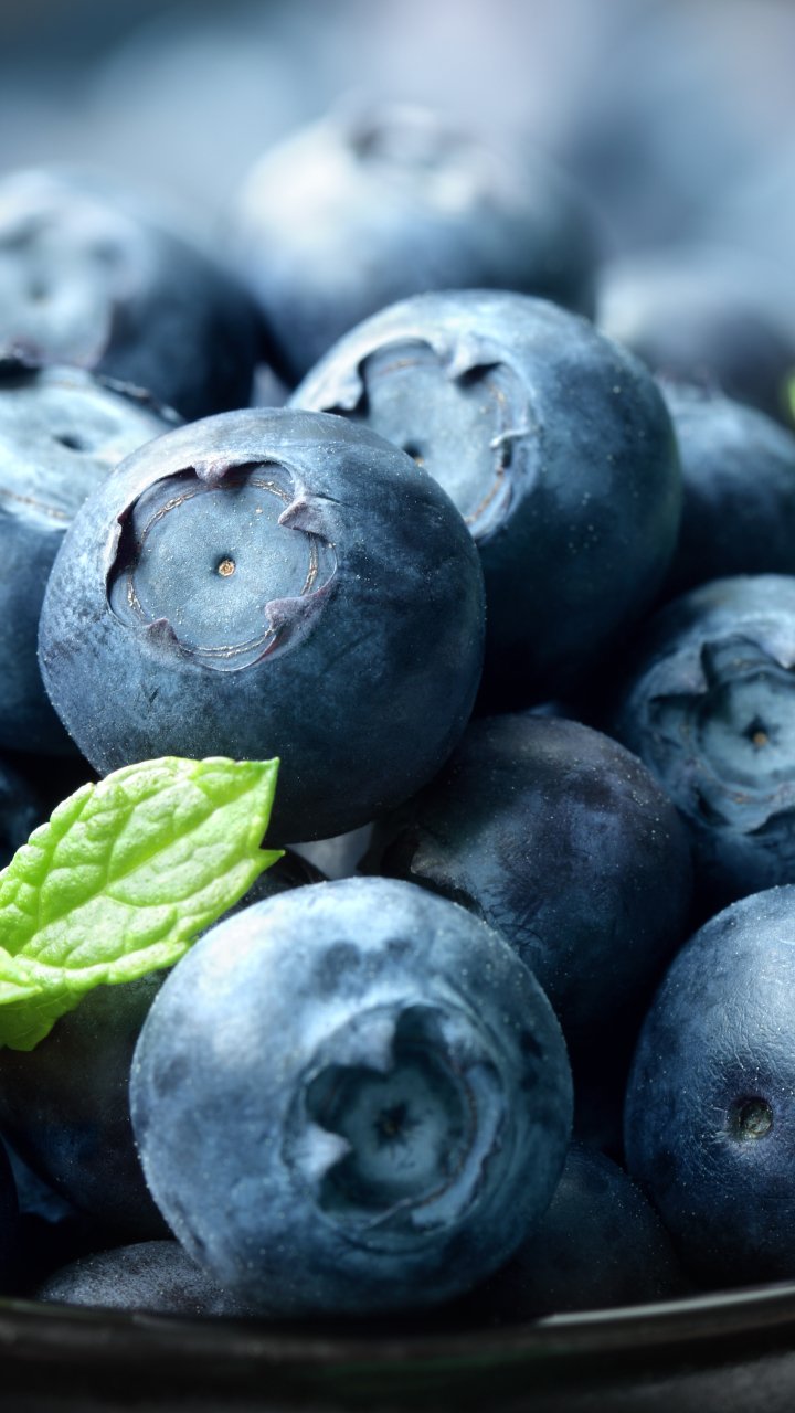 Download Berry Food Blueberry Phone Wallpaper