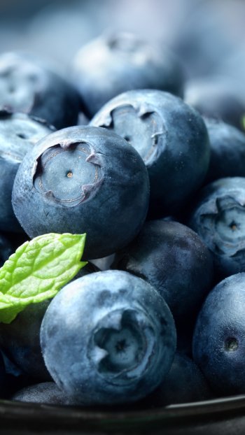 berry food blueberry Phone Wallpaper