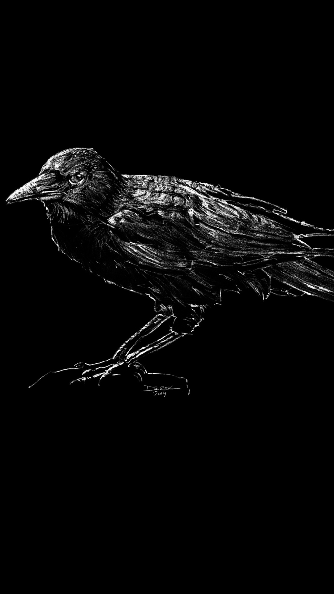 Ворон на телефон. Ворон на обои телефона андроид. Ворон с членом. Член ворона. Crow (animal).