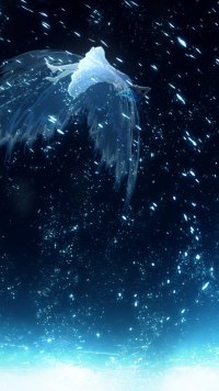 Phone Wallpaper 729924