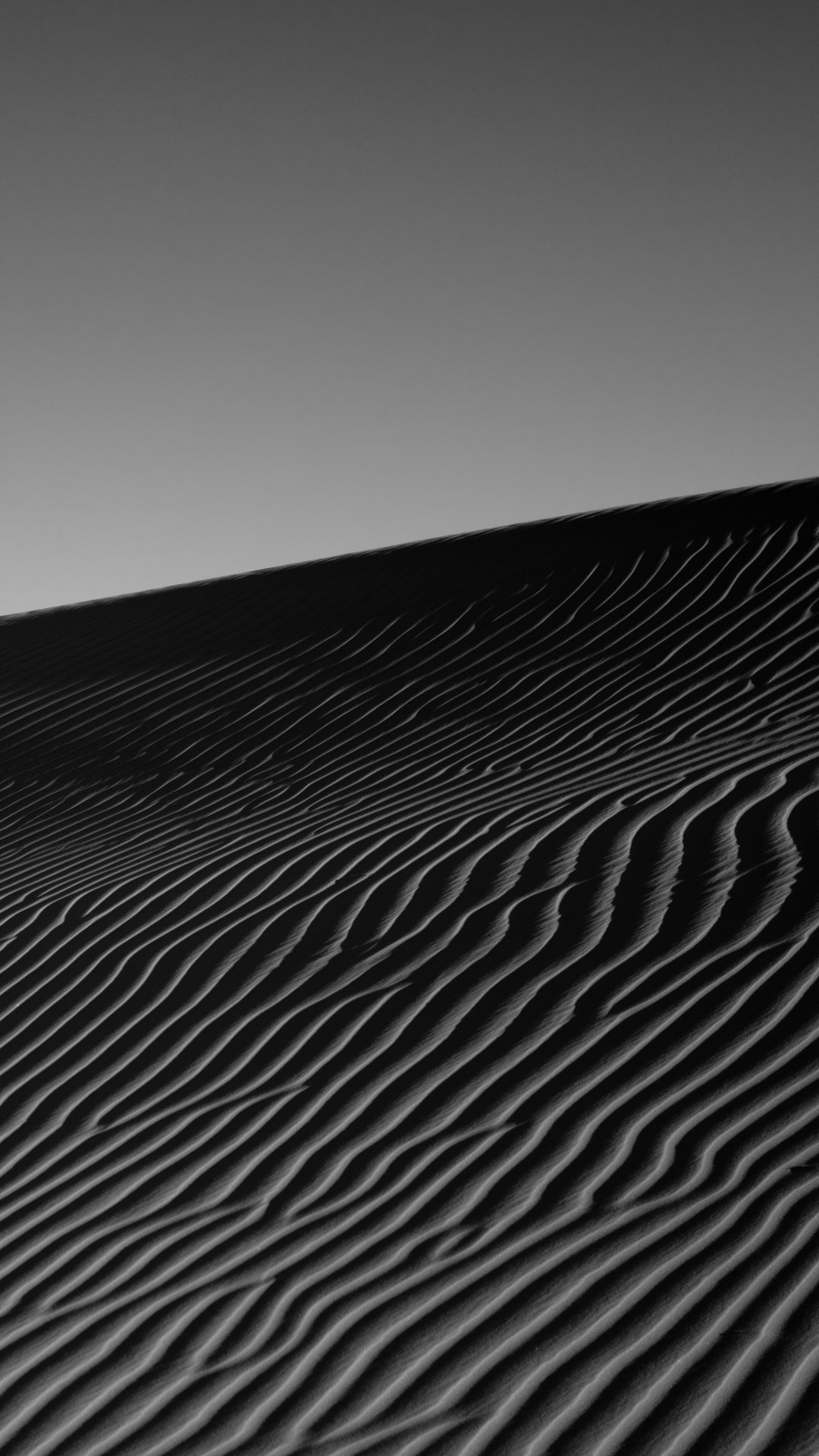Download Black & White Africa Algeria Sand Dune Sahara Sand Nature Desert Phone Wallpaper