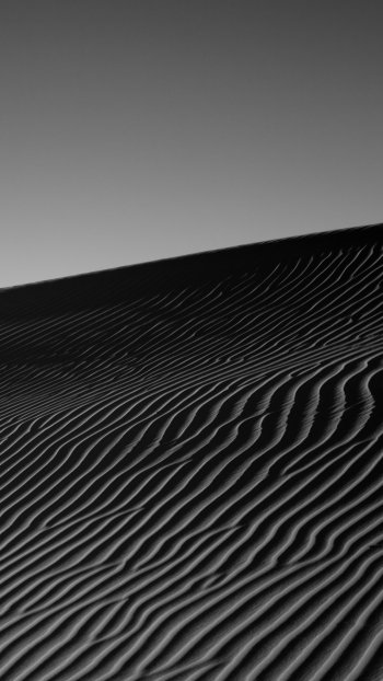  Quiet Place - Algeria