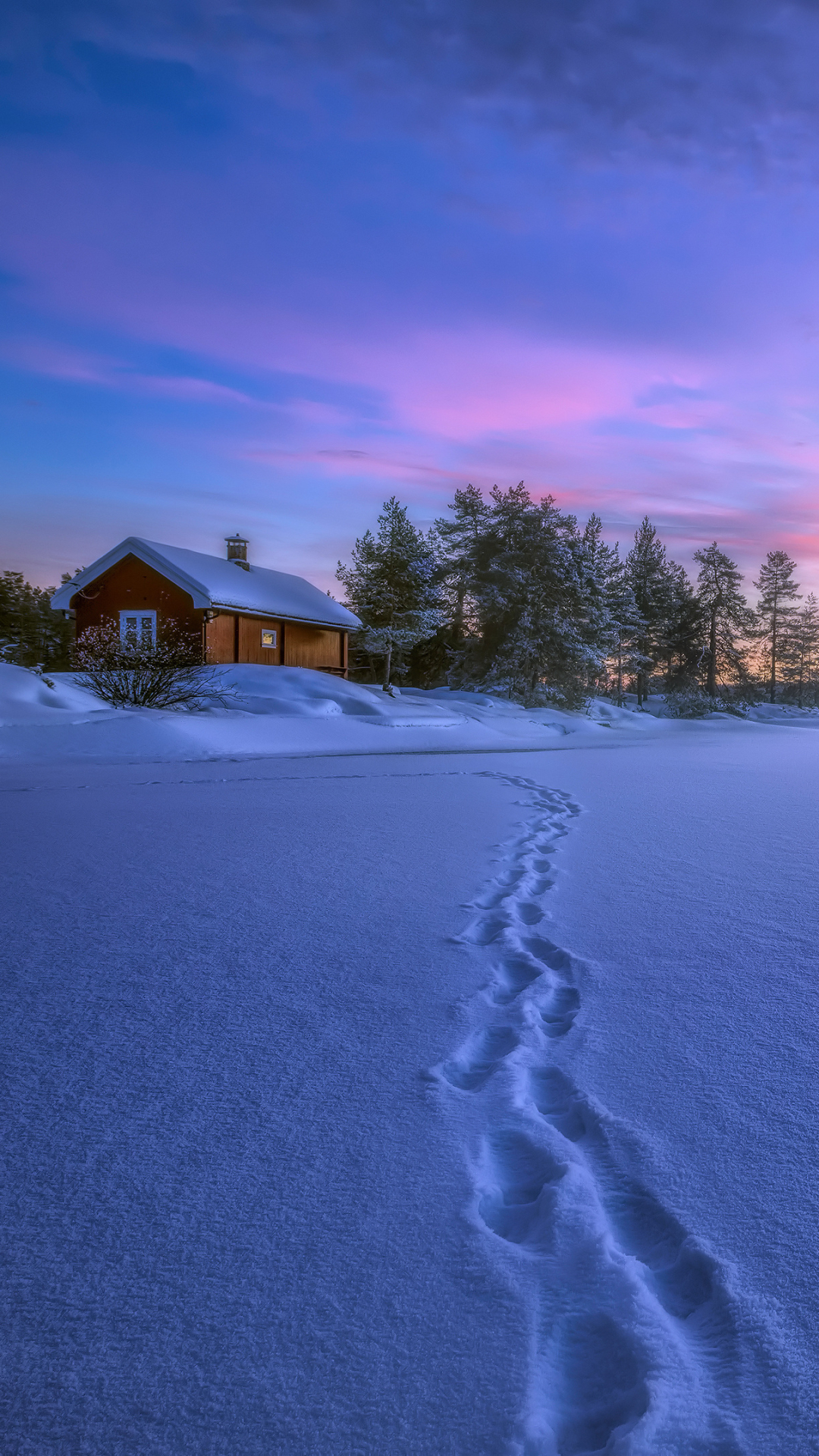House in Winter Sunset