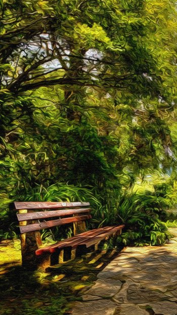  Bench and Lake - Oil on Canvas