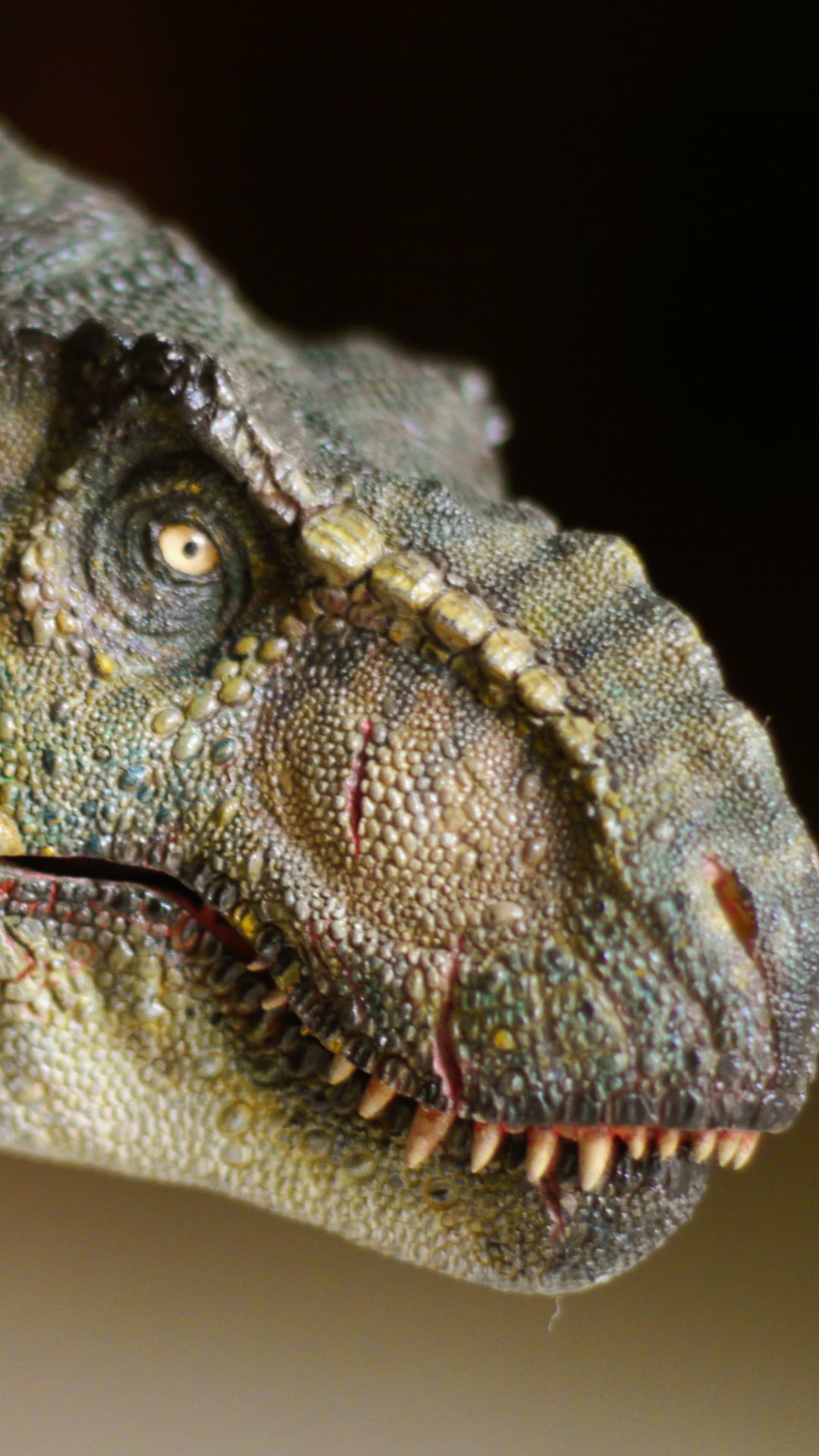Download Animal Tyrannosaurus Rex Phone Wallpaper