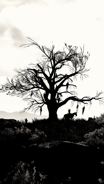  Dead Mans Tree by HodgeDogs
