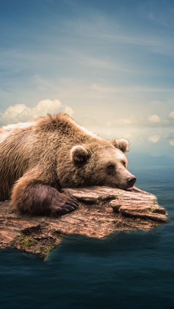  Bear Alone in the Ocean