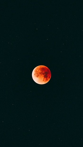 nature moon Phone Wallpaper
