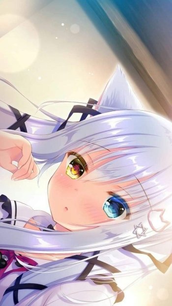  Anime neko