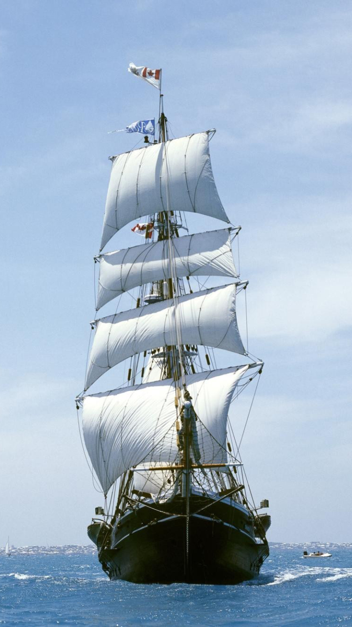 Sailing Ship Phone Wallpaper