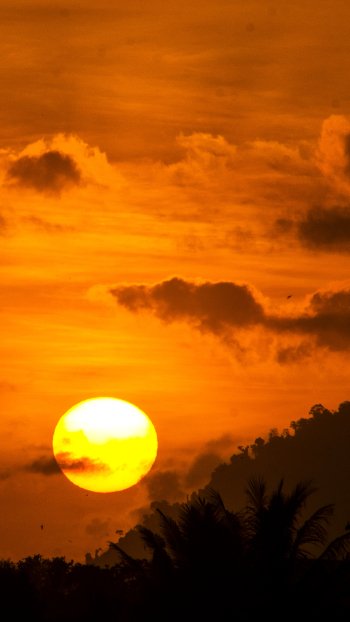 sun tropics Indonesia nature Phone Wallpaper