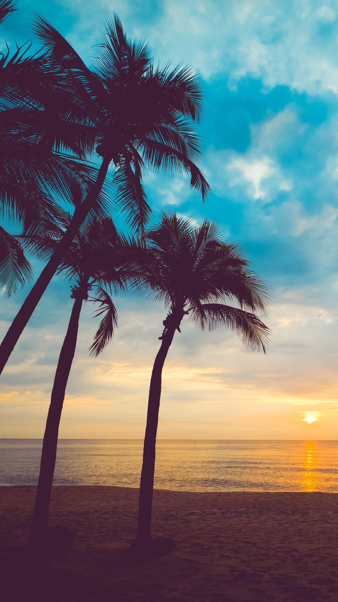 Phone wallpaper showing silhouetted palm trees against a cloudy sky and glowing ocean horizon at sunset, highlighting tranquil coastal nature.