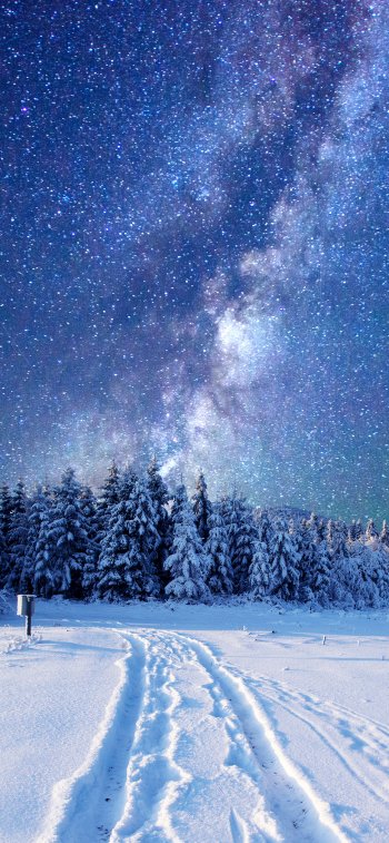 nature star sky snow forest winter Sci Fi Milky Way Phone Wallpaper