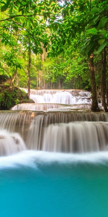 greenery river nature waterfall Phone Wallpaper