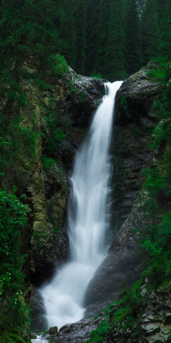 greenery cliff nature waterfall Phone Wallpaper