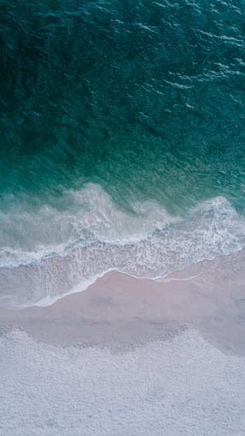  Seashore Top View Beach