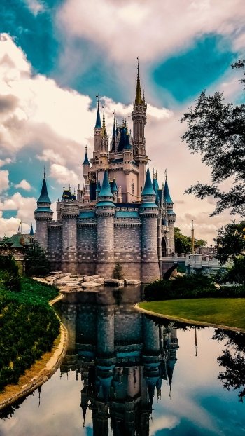 castle man made Disney World Phone Wallpaper