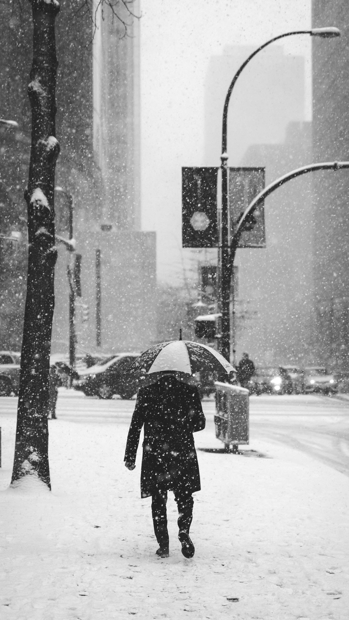 Download Snow Photography Winter Phone Wallpaper