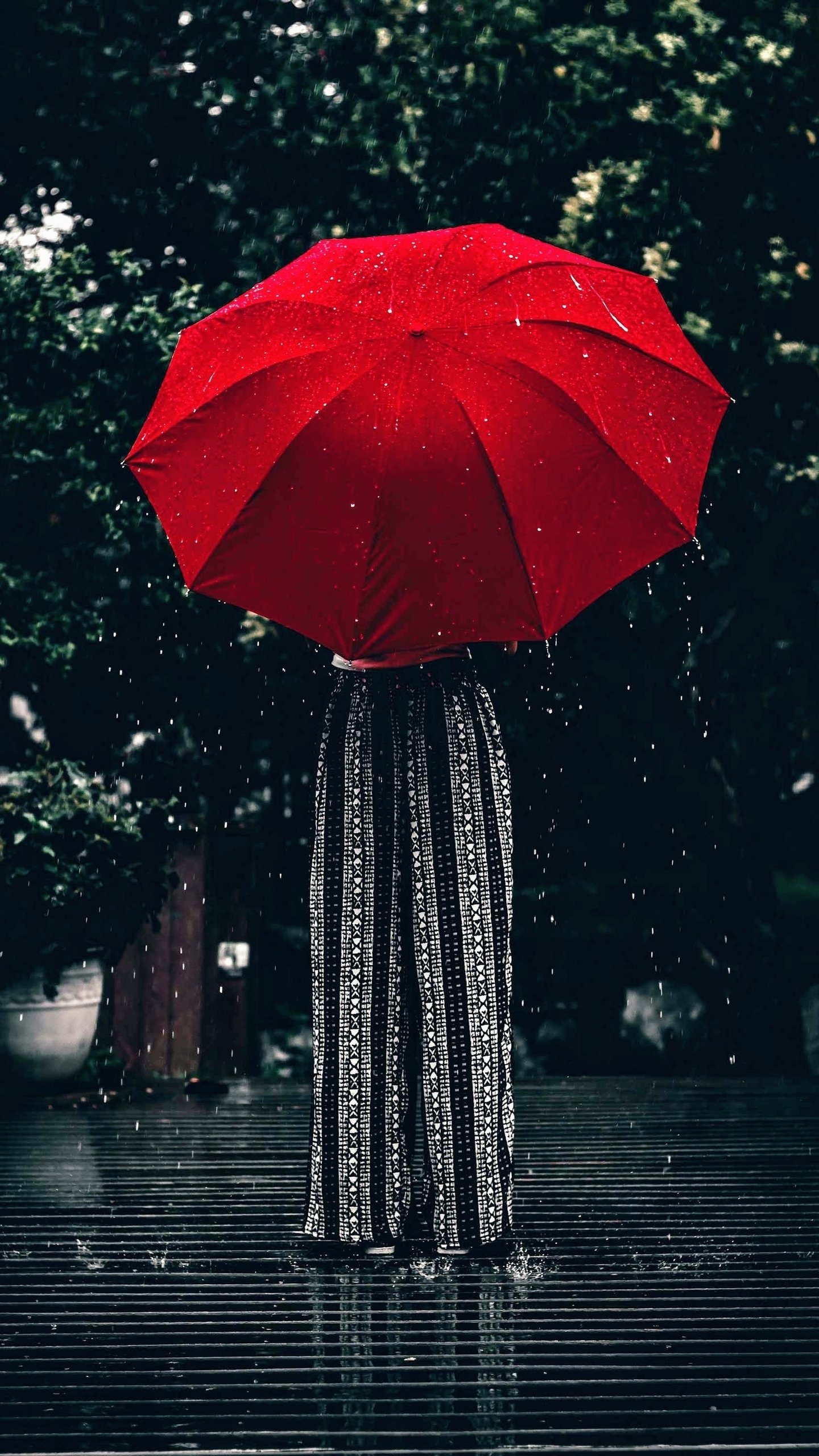 Download Photography Umbrella Phone Wallpaper
