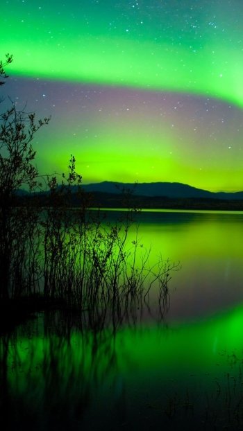  The green light