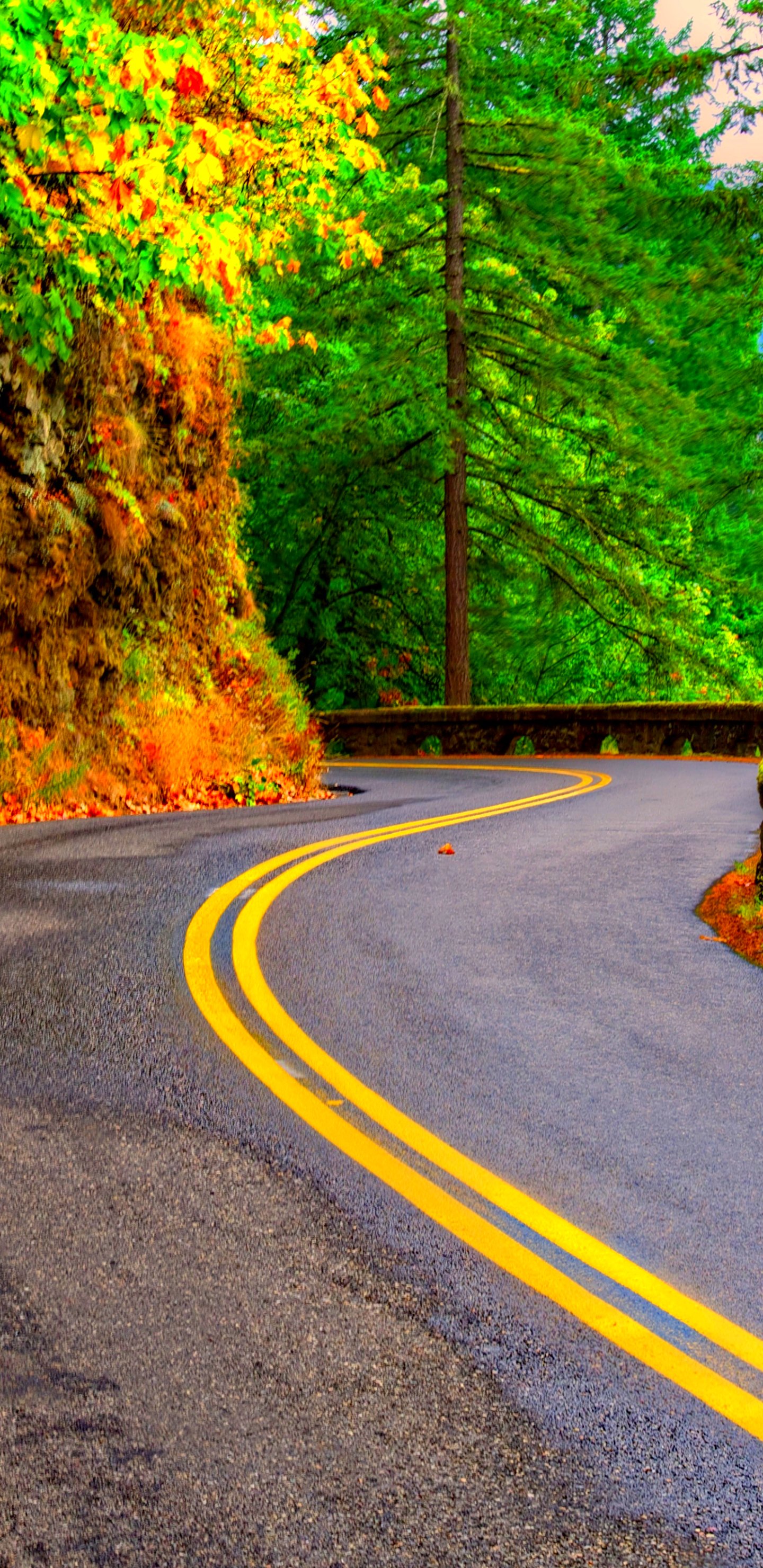 Download Fall Man Made Road Phone Wallpaper - Mobile Abyss