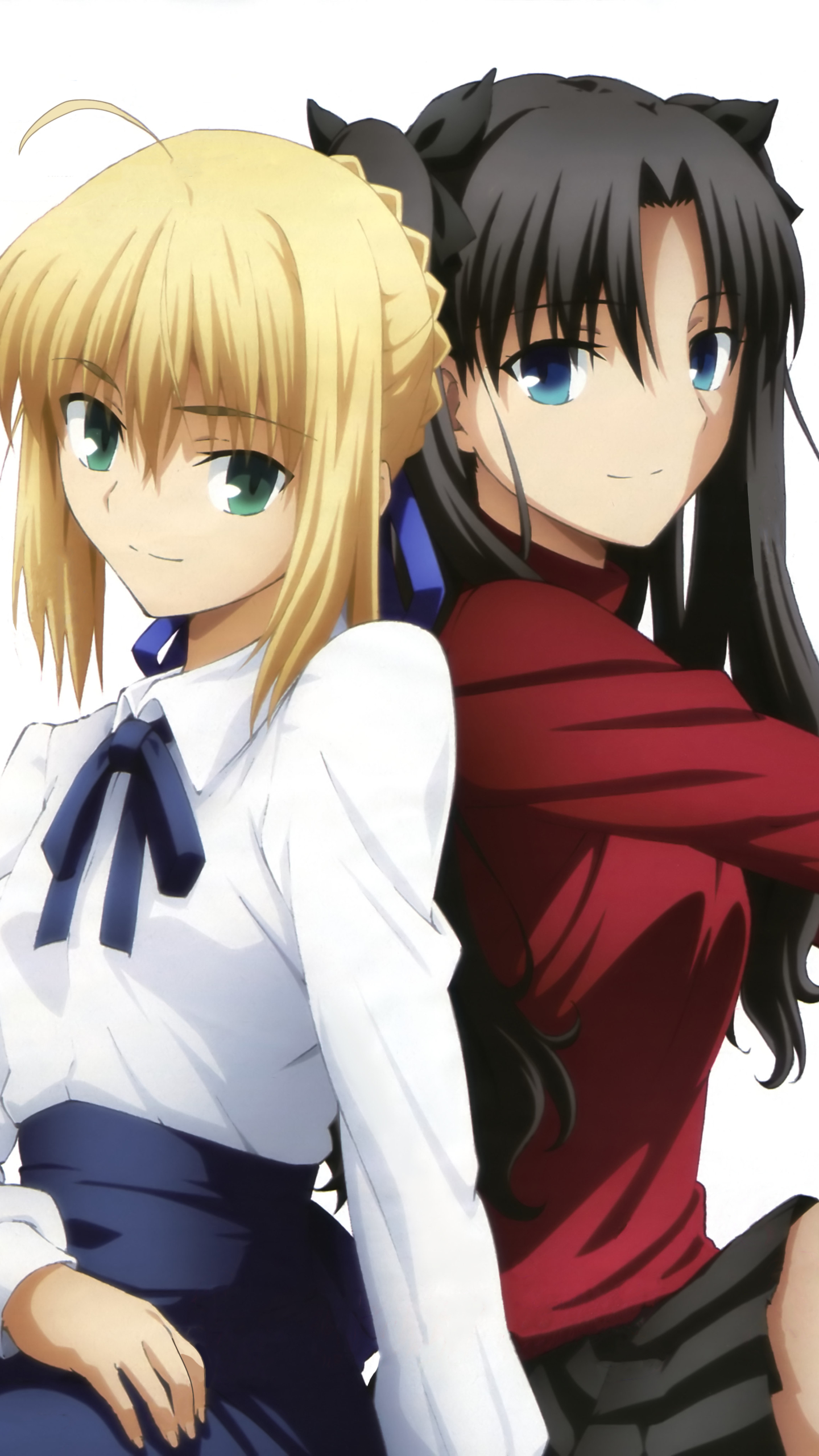 Download Artoria Pendragon Rin Tohsaka Saber (Fate Series) Anime Fate ...