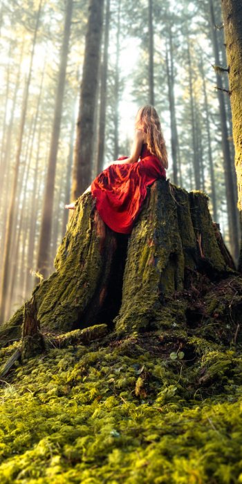  Forest Fantasy Girl by Elizabeth Gadd