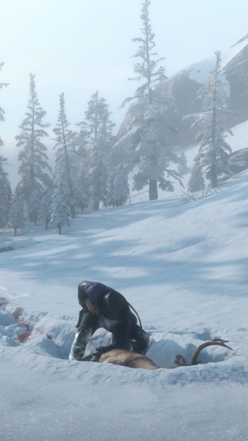  Arthur Hunting