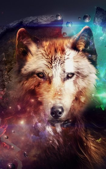 Animal wolf Phone Wallpaper