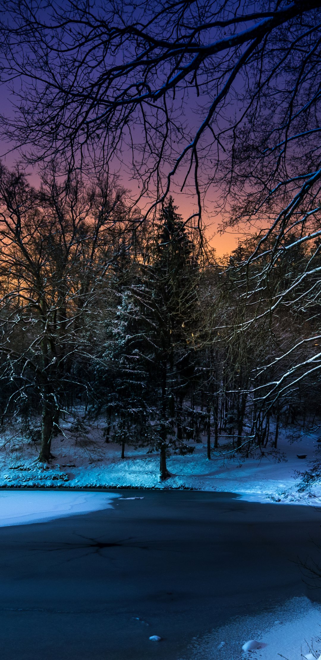 Download Snow Tree Frozen Pond Nature Winter Phone Wallpaper