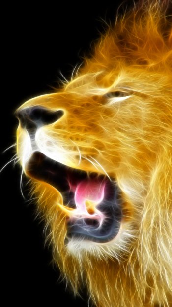 Animal lion Phone Wallpaper